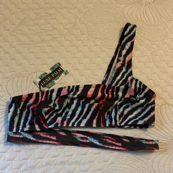 Multicolored Zebra Print Bikini - Picture 4 of 6
